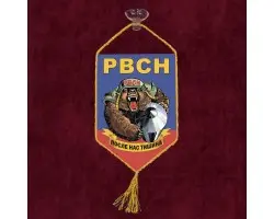 Автомобильный вымпел РВСН