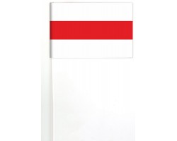 Белорусский национальный флажок на палочке