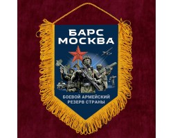 Подарочный двухсторонний вымпел 