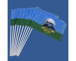 Комплект флажков 12 ОБрСпН на палочке (10шт) №9059 (№41)