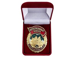 Знак участника СВО 