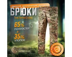 Тактические военные брюки G2 (камуфляж Мультикам) №848