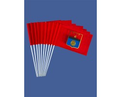 Комплект флажков Волгограда на палочке №5118