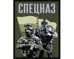 Полевой шеврон 
