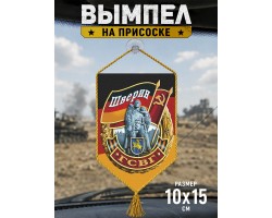 Автомобильный двусторонний вымпел ГСВГ 