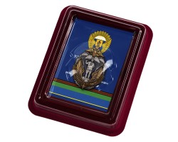 Латунный знак РВВДКУ им. В.Ф. Маргелова   - в футляре из флока с прозрачной крышкой №1966