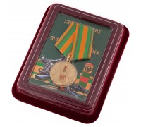Медаль к 100-летию ПВ