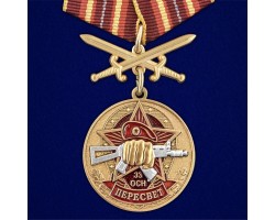 Медаль За службу в 33-м ОСН 