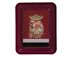 Нагрудный знак 