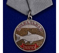 Похвальная медаль 