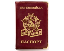 Стильная обложка на паспорт  