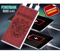 Зарядное устройство PowerBank 