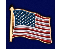 Значок США  №101