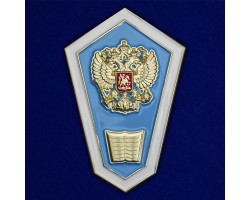 Знак Об окончании педагогического ССУЗа РФ №2510