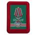 Медаль "За службу в Уч-Аральском пограничном отряде" с мечами