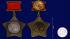Орден Суворова II степени (на колодке) 