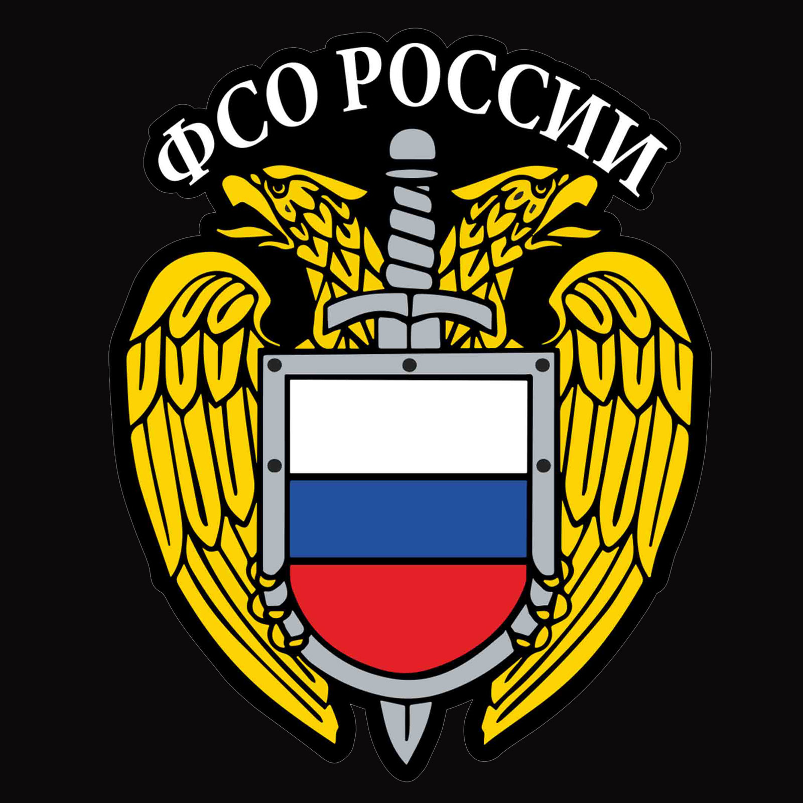 История фсо